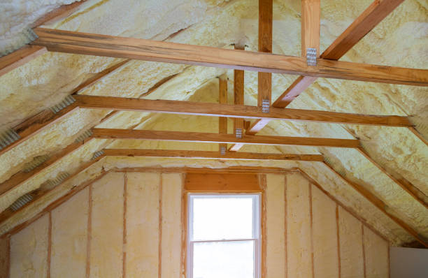 Best Eco-Friendly Insulation in Holdrege, NE